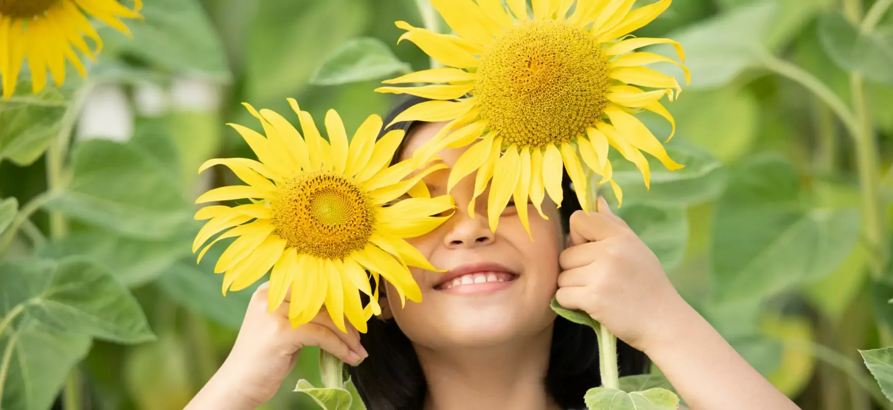 rectangle-125111-min